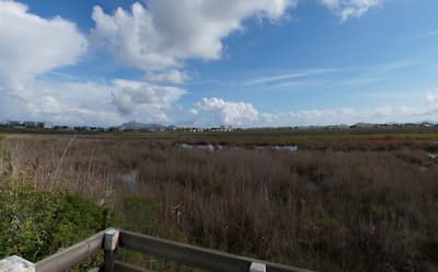 Parque Natural de s'Albufera